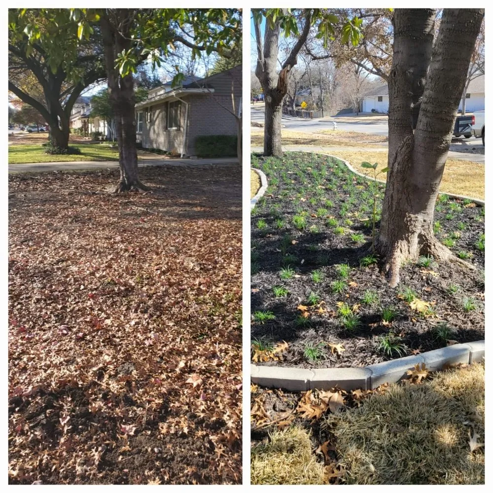 Custom yard cleanup service in Irving, TX by G & E Landscaping