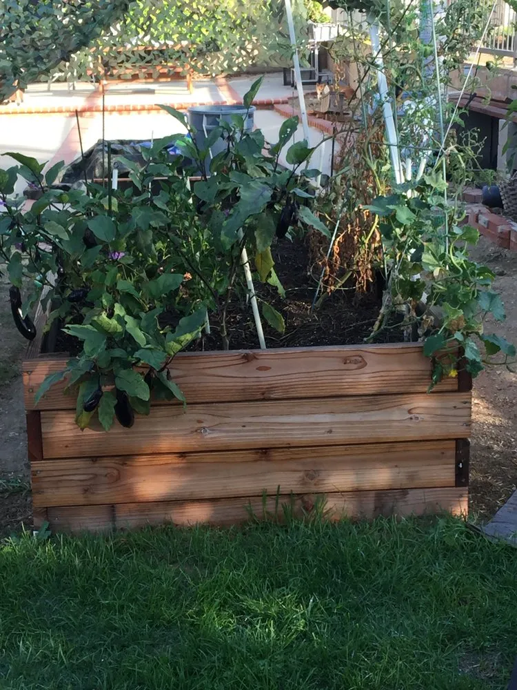 Professional outdoor landscaping for year-round maintenance across Chino, CA - G & G Landscape