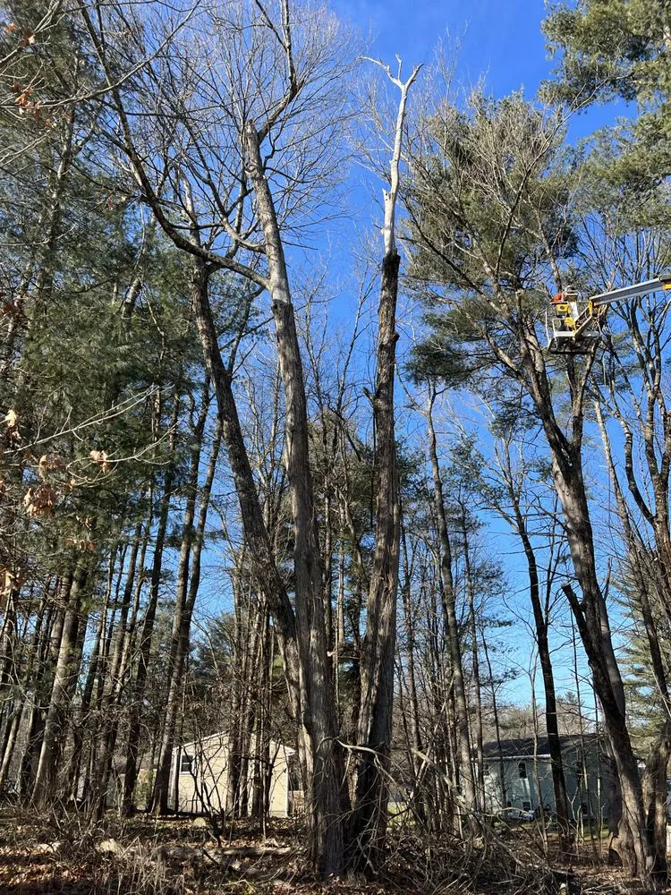 Professional landscape installation for beautiful yards across Latham, NY - G & G Landscape Design