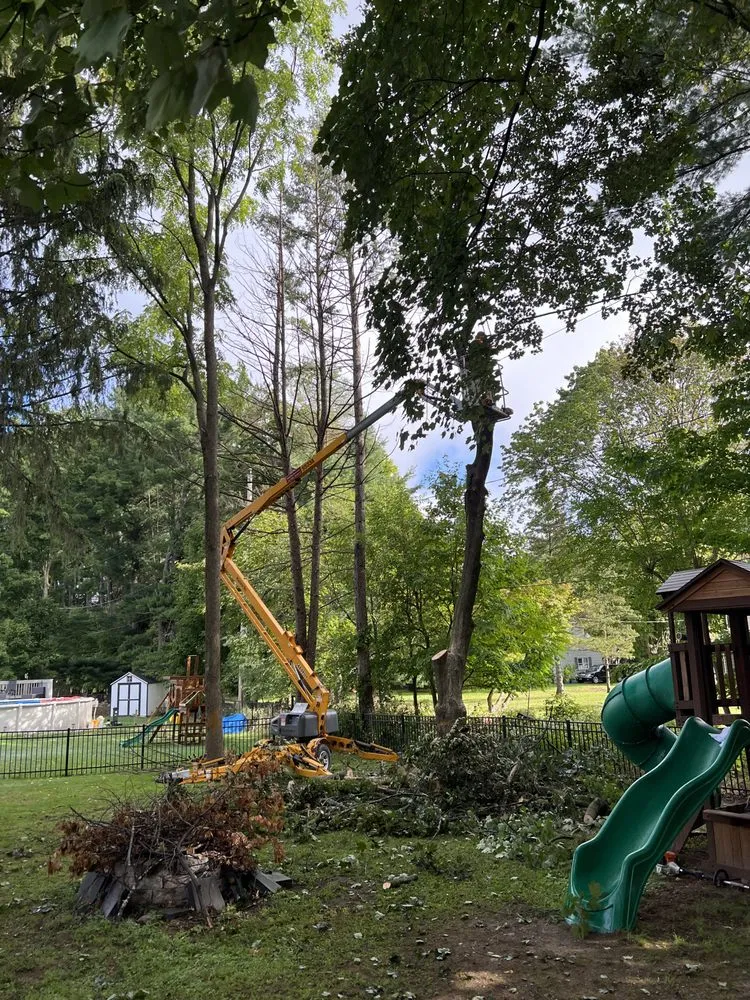 Top-rated landscaping services in Latham, NY - G & G Landscape Design