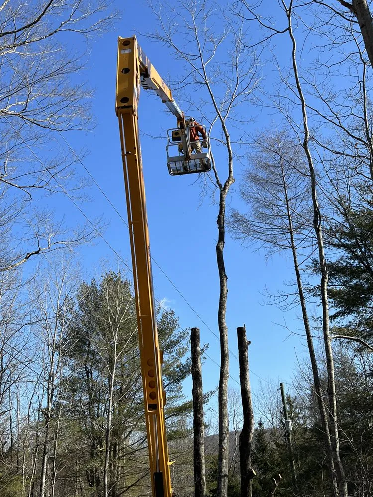 Custom outdoor landscaping in Latham, NY - G & G Landscape Design