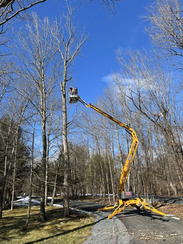 Local lawn mowing service experts serving Latham, NY - G & G Landscape Design