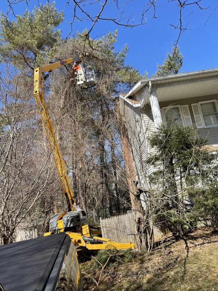 Expert residential landscaping for homes across Latham, NY - G & G Landscape Design