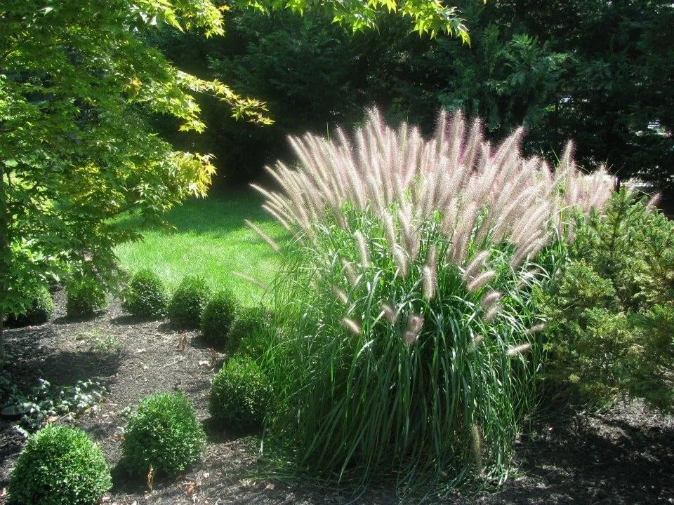Affordable residential landscaping for outdoor upgrades in Columbus, NJ by G & G Landscaping Construction
