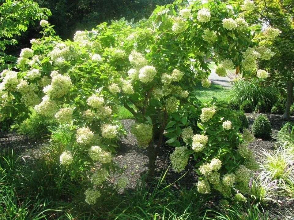 Expert yard cleanup service experts serving Columbus, NJ - G & G Landscaping Construction