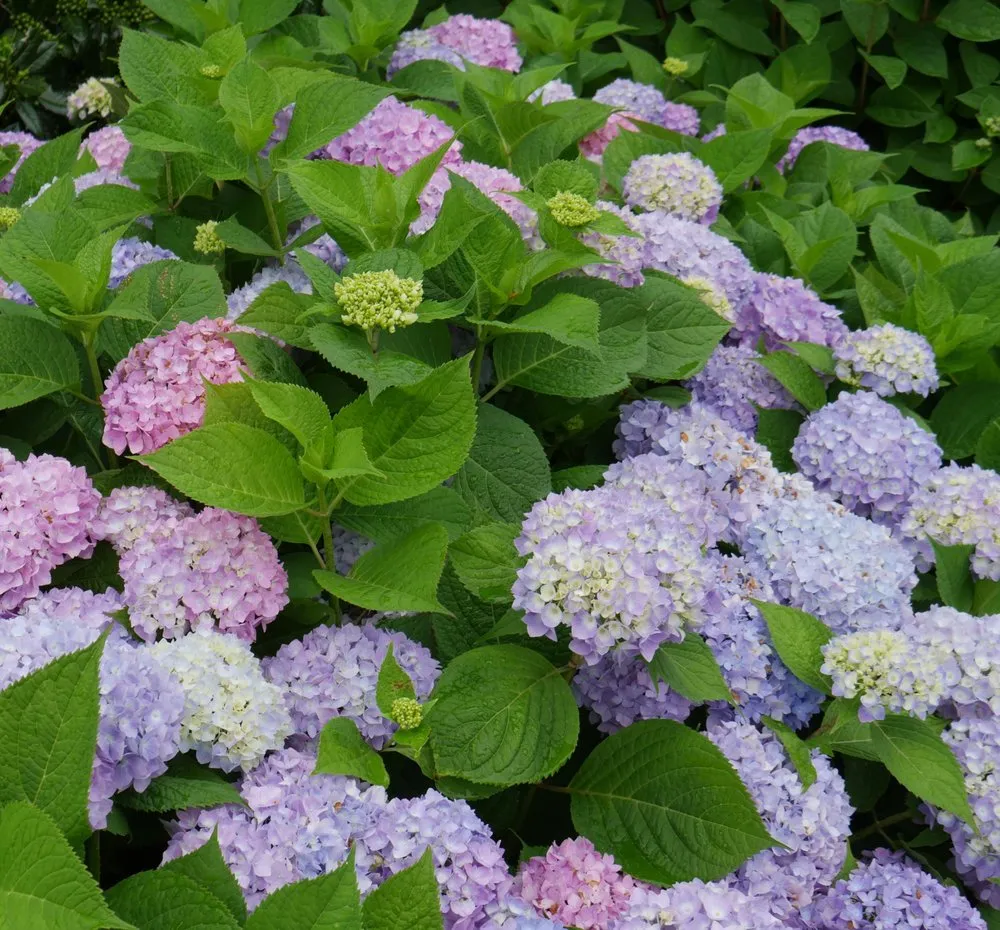 Top-rated lawn mowing service for outdoor upgrades in Columbus, NJ by G & G Landscaping Construction