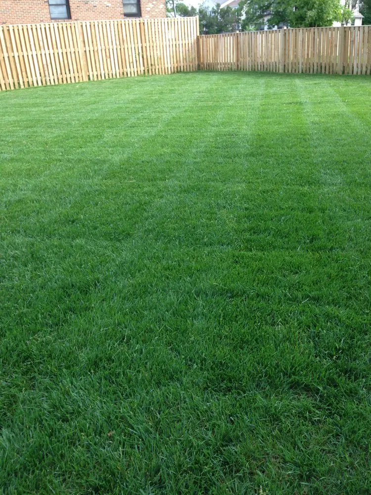 Local garden landscaping experts serving Falls Church, VA - G & G Landscaping