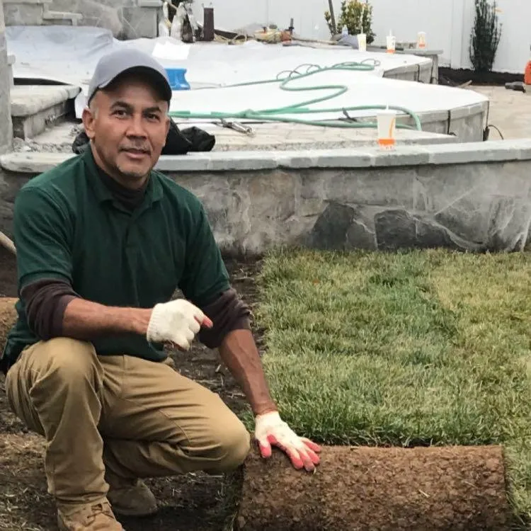 Reliable yard cleanup service in Falls Church, VA by G & G Landscaping