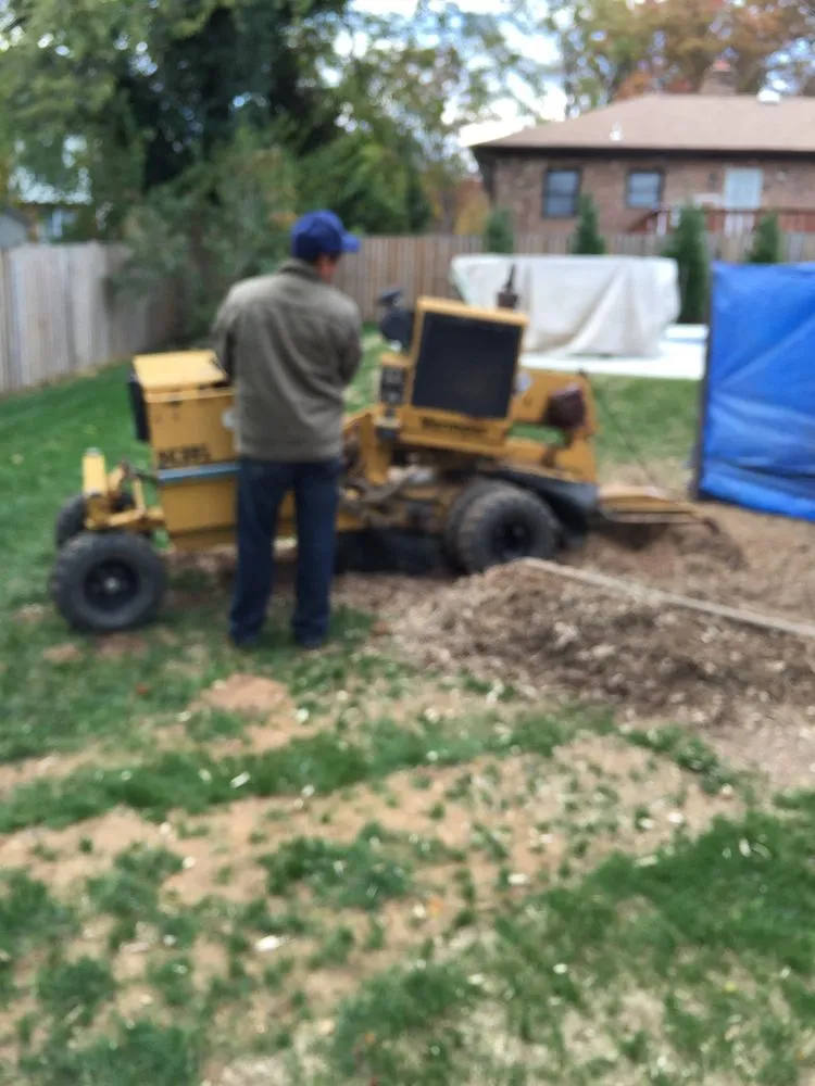 Expert landscaping services in Falls Church, VA - G & G Landscaping