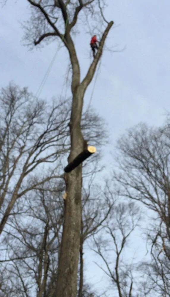 Reliable outdoor landscaping experts serving Falls Church, VA - G & G Landscaping