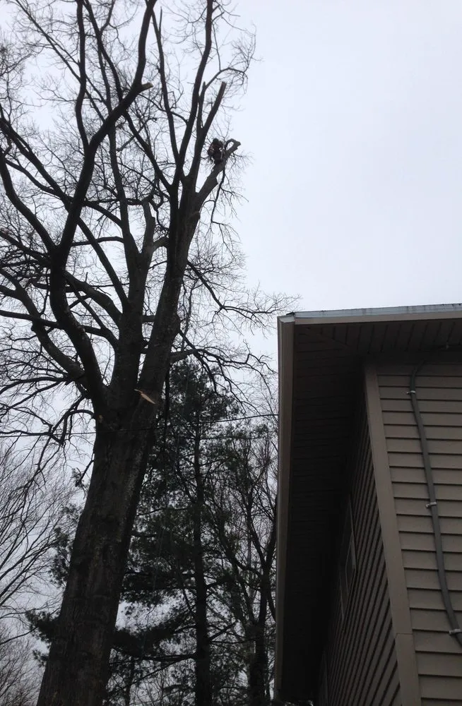 Local lawn care service in Falls Church, VA by G & G Landscaping