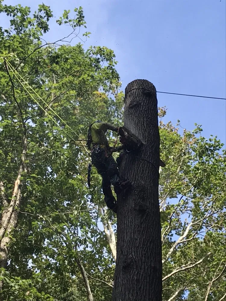 Reliable residential landscaping for homes in Falls Church, VA by G & G Landscaping