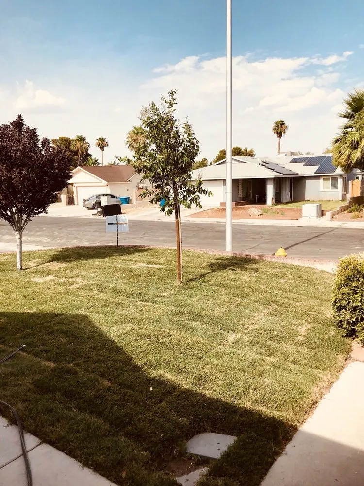 Reliable residential landscaping in North Las Vegas, NV - G & G Landscaping