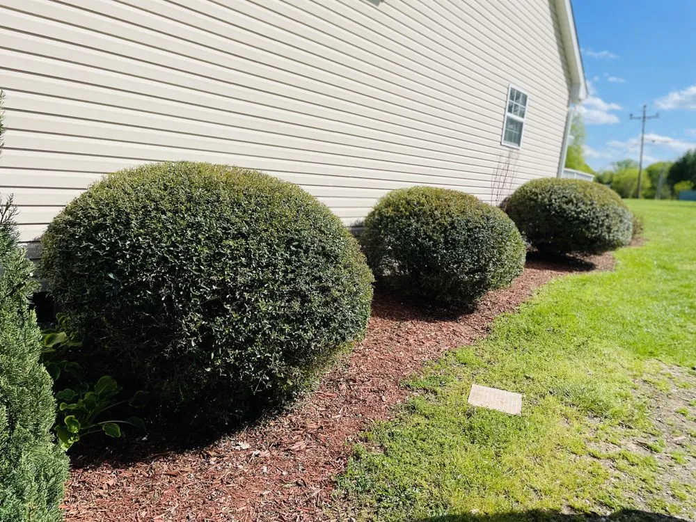 Custom lawn care service for year-round maintenance across Spring Hill, TN - G & G Landscaping