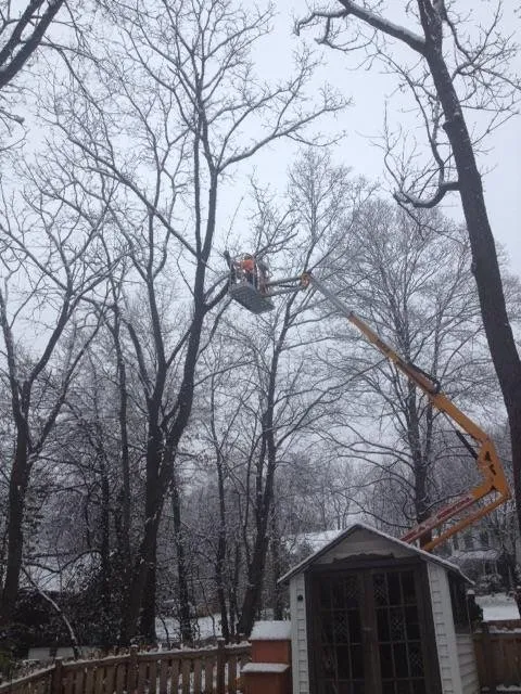 Top-rated yard cleanup service in Imperial, MO by G & G Lawn Care & Tree Service