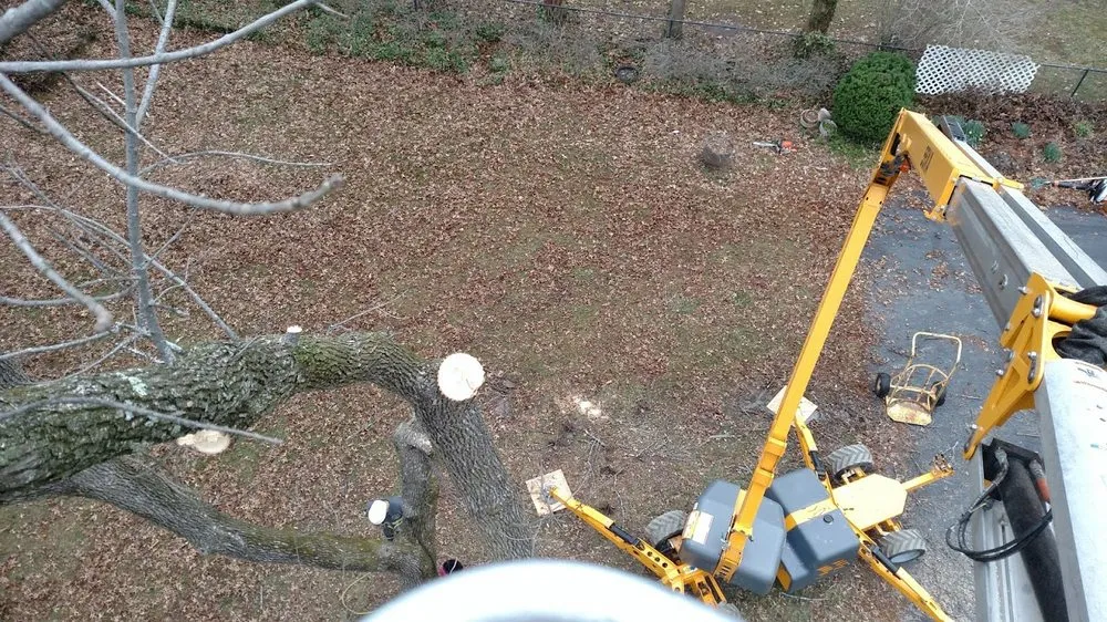 Affordable garden landscaping for beautiful yards across Imperial, MO - G & G Lawn Care & Tree Service