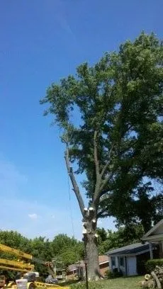 Expert outdoor landscaping for outdoor upgrades across Imperial, MO - G & G Lawn Care & Tree Service