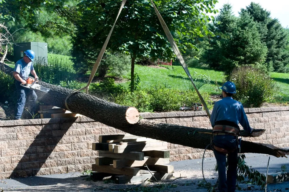 Custom lawn care service in Imperial, MO - G & G Lawn Care & Tree Service