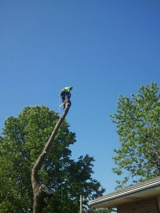 Local lawn care service in Imperial, MO by G & G Lawn Care & Tree Service