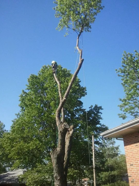 Top-rated landscape installation in Imperial, MO - G & G Lawn Care & Tree Service