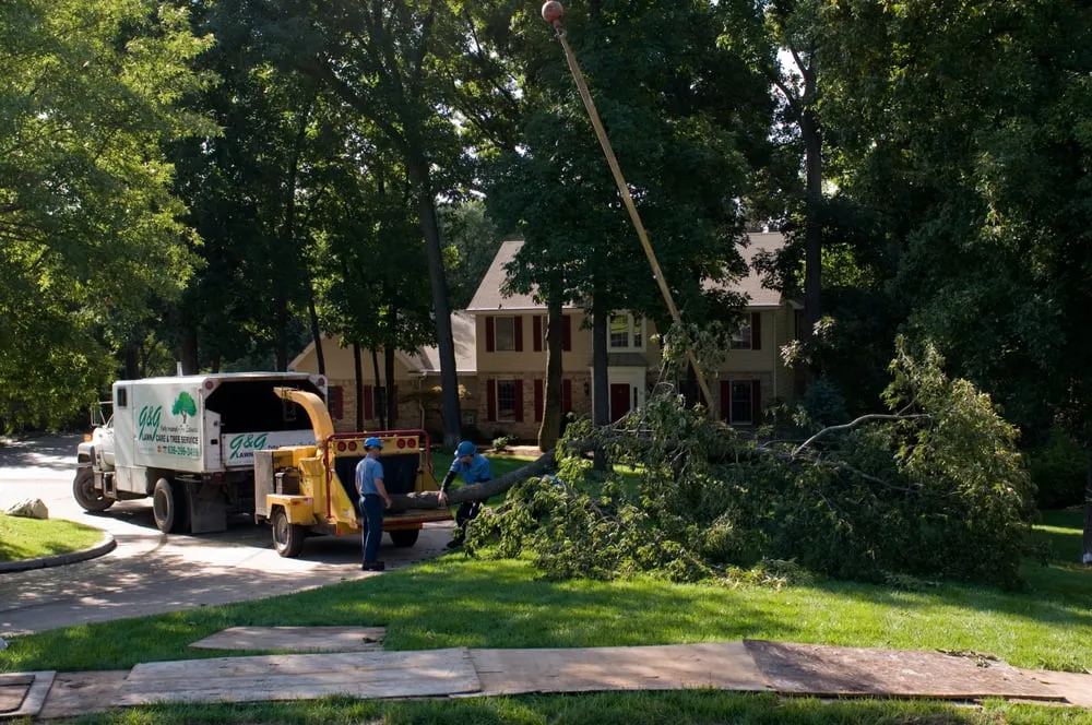 Reliable outdoor landscaping with custom design in Imperial, MO by G & G Lawn Care & Tree Service