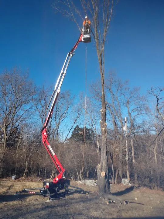 Top-rated lawn mowing service for beautiful yards in Imperial, MO by G & G Lawn Care & Tree Service