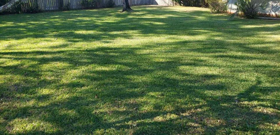Professional yard cleanup service in Fort Walton Beach, FL by G & G Lawn Care of NWF