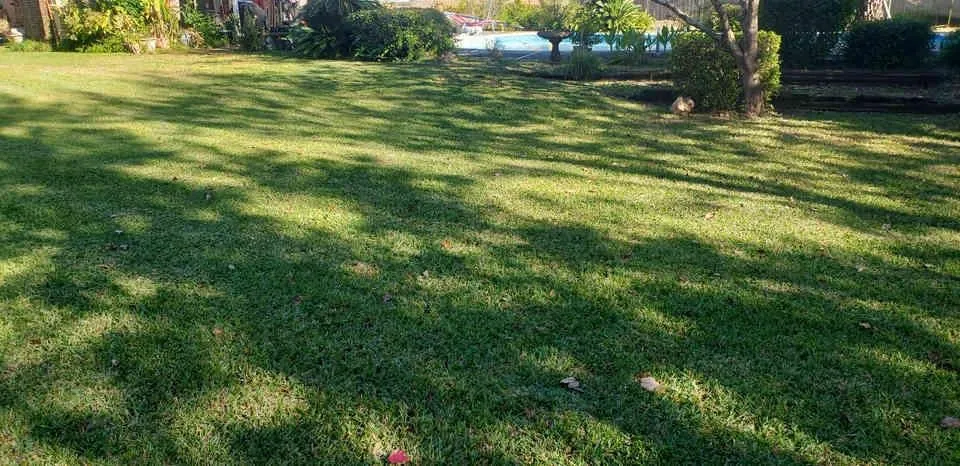 Affordable yard maintenance experts serving Fort Walton Beach, FL - G & G Lawn Care of NWF