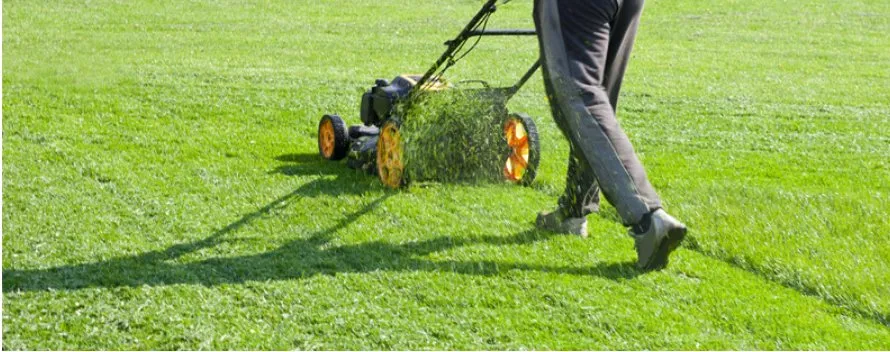 Trusted lawn care service in Westfield, IN - G & G Lawn Care Services