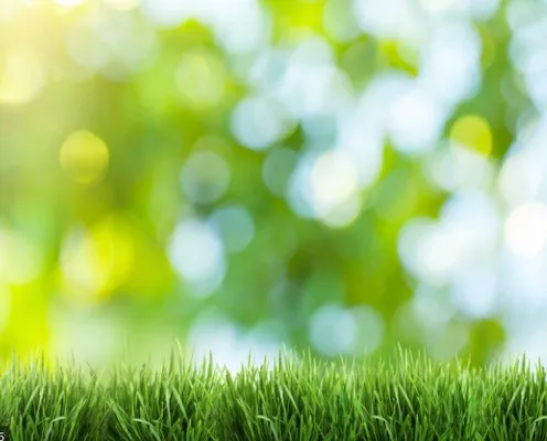 G & G Lawn Care Services