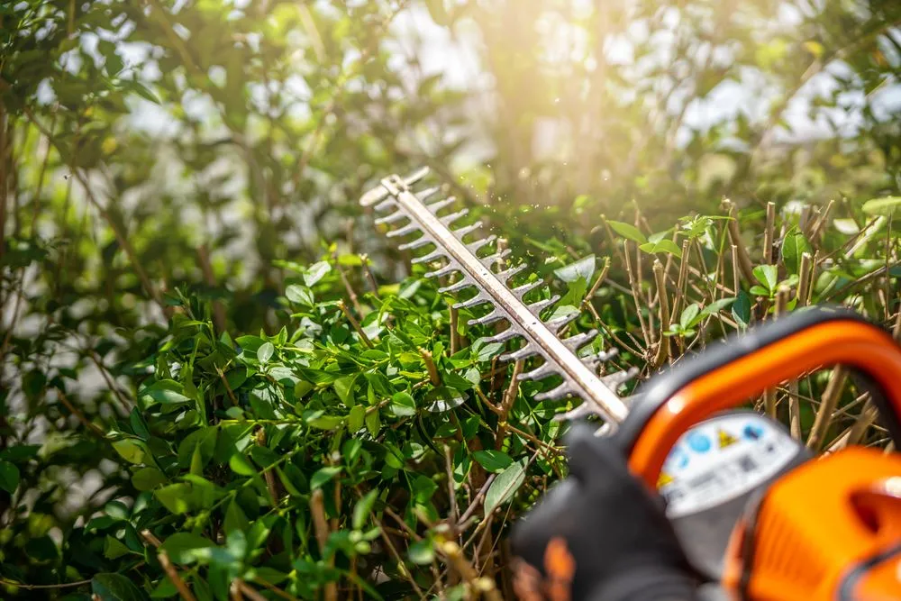 Expert yard maintenance experts serving Wichita Falls, TX - G & G Mowing