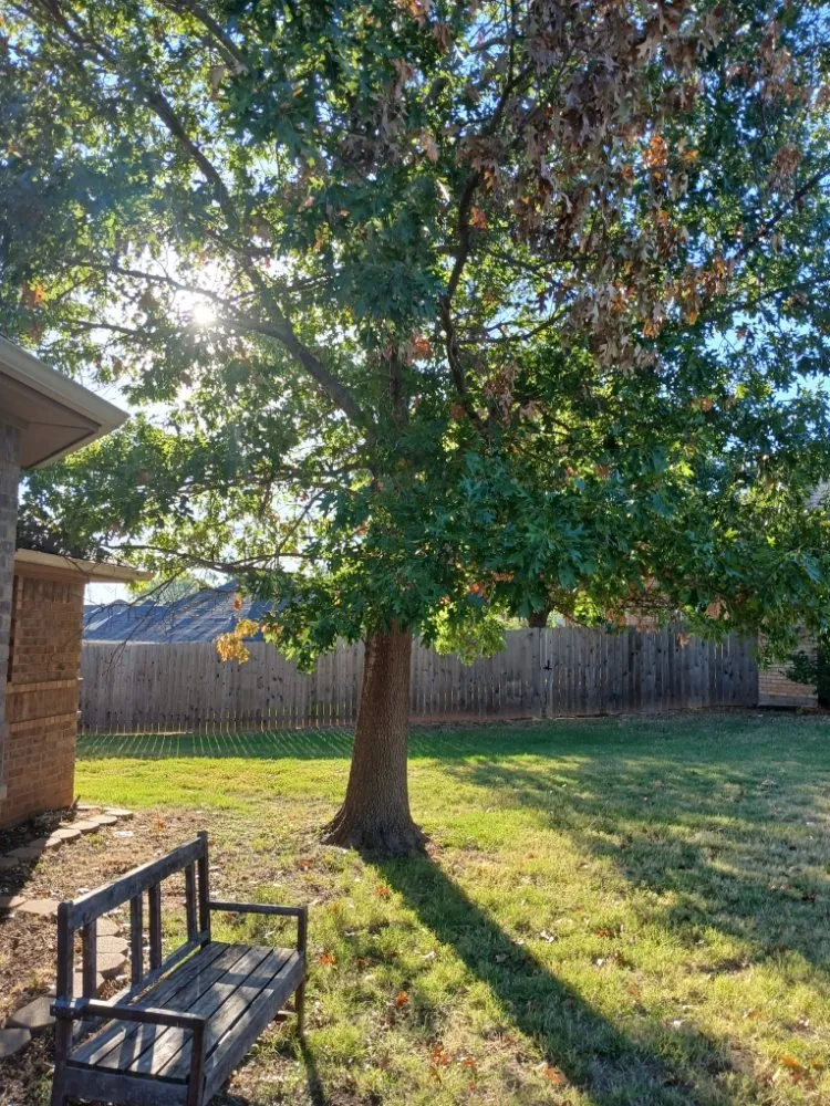 Professional yard cleanup service for year-round maintenance across Wichita Falls, TX - G & G Mowing