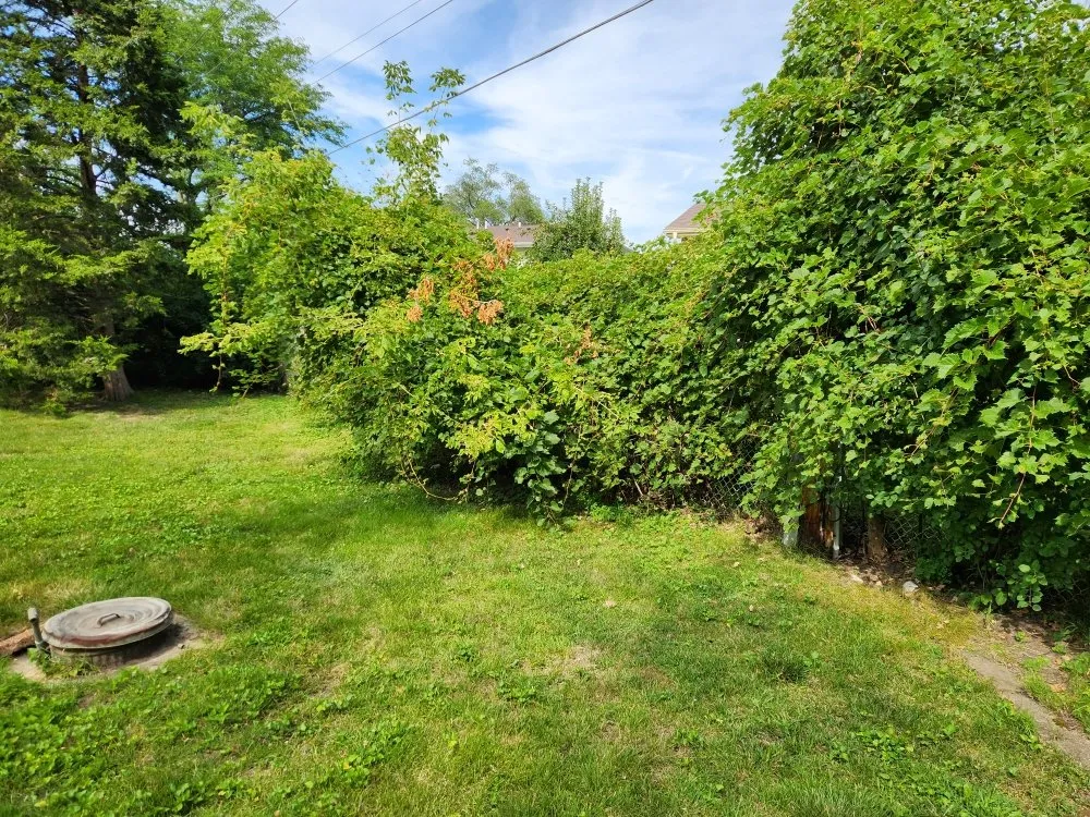 Expert lawn mowing service for outdoor upgrades across Palatine, IL - G & G's Greenery