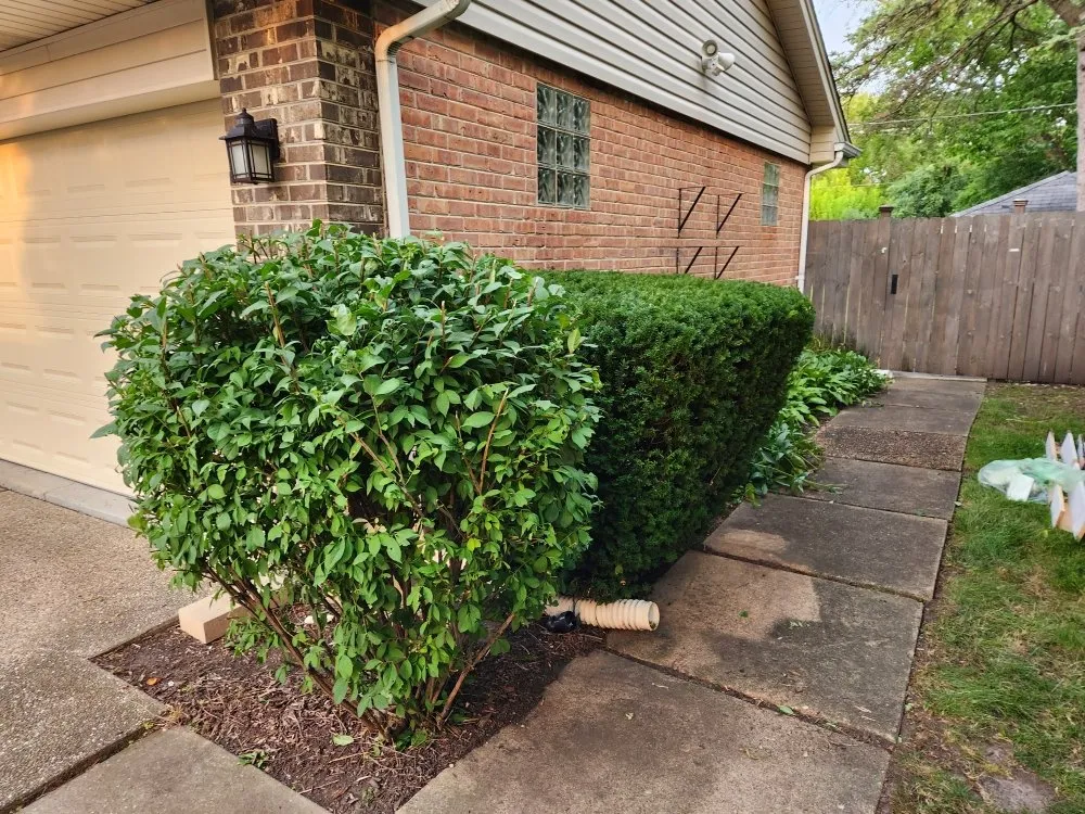 Top-rated lawn care service experts serving Palatine, IL - G & G's Greenery