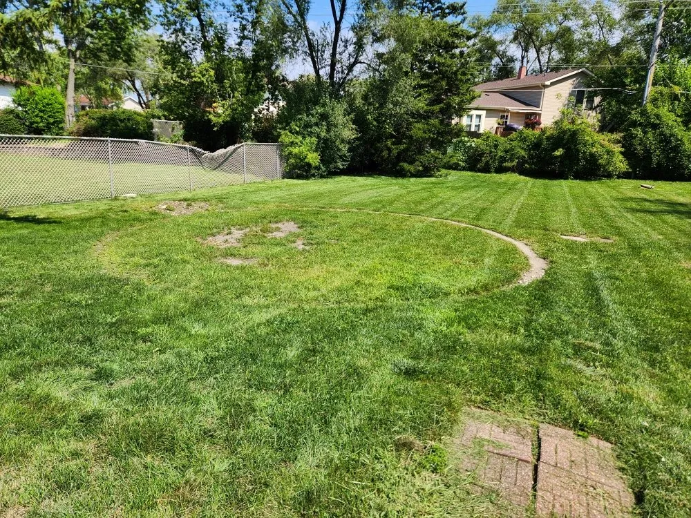 Custom landscape design with custom design across Palatine, IL - G & G's Greenery