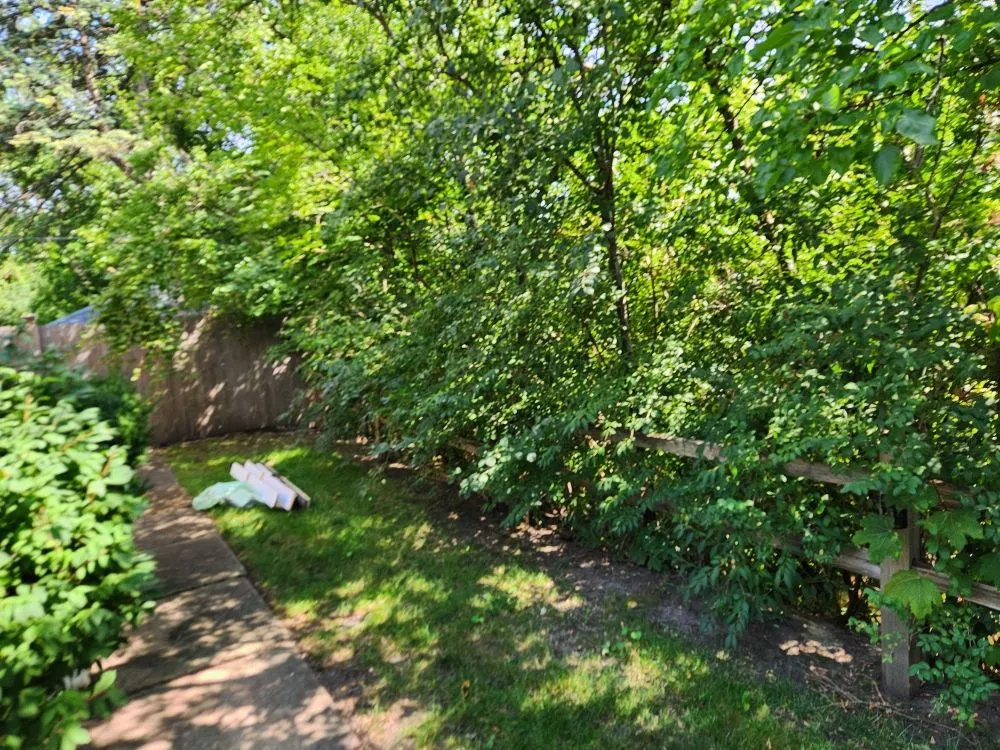 Expert landscape installation in Palatine, IL by G & G's Greenery