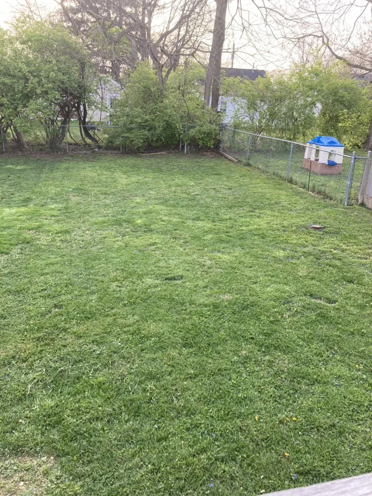Trusted yard cleanup service experts serving Lexington-Fayette, KY - G & H Brothers Lawncare Landscaping