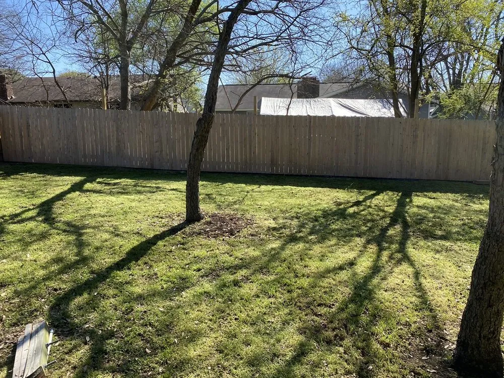 Local yard maintenance in Austin, TX - G & I Concrete and Tree Lawn Services