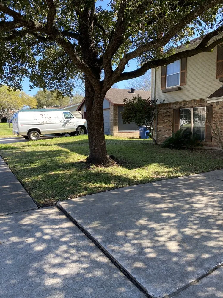 Reliable landscape installation for year-round maintenance in Austin, TX by G & I Concrete and Tree Lawn Services