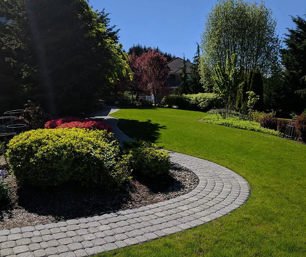 Expert yard cleanup service in Barberton, OH - G & J Lawn Service