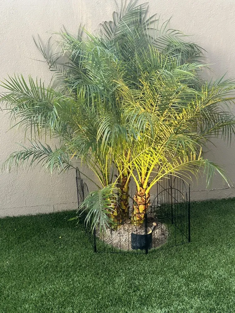 Custom landscaping services in Mesa, AZ - G & J Pro Landscaping