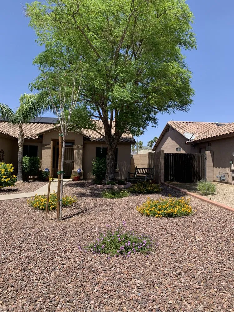 Professional residential landscaping in Mesa, AZ - G & J Pro Landscaping