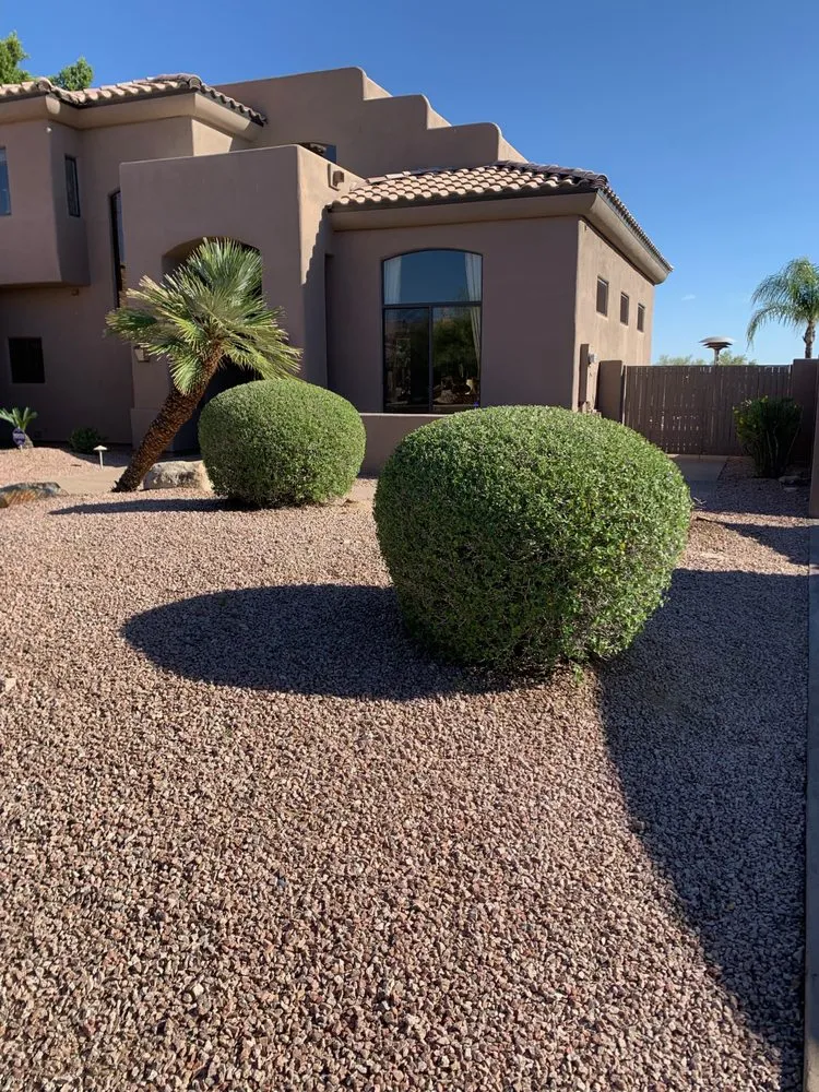 Top-rated lawn mowing service for homes across Mesa, AZ - G & J Pro Landscaping