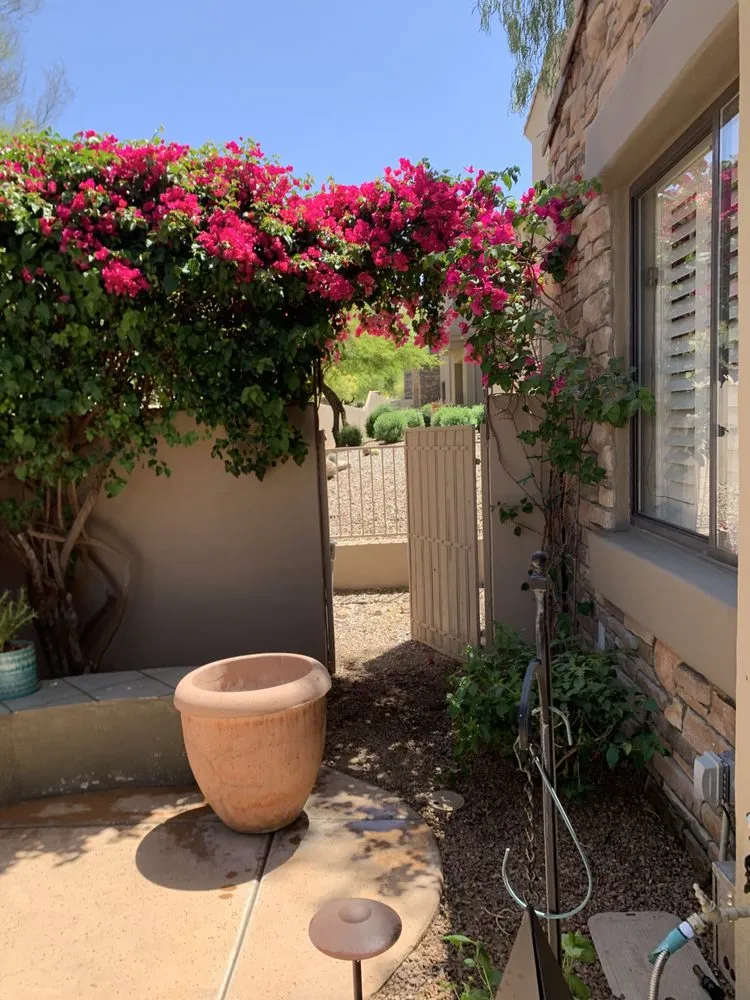 Local outdoor landscaping in Mesa, AZ - G & J Pro Landscaping