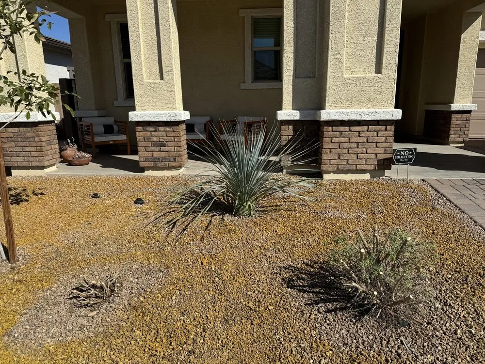 Expert outdoor landscaping with custom design in Mesa, AZ by G & J Pro Landscaping