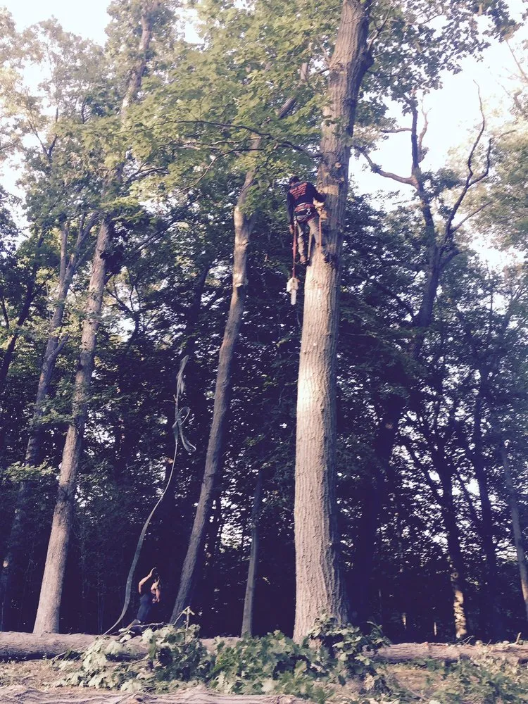 Local lawn mowing service for beautiful yards across Morganville, NJ - G & J Star Tree Service