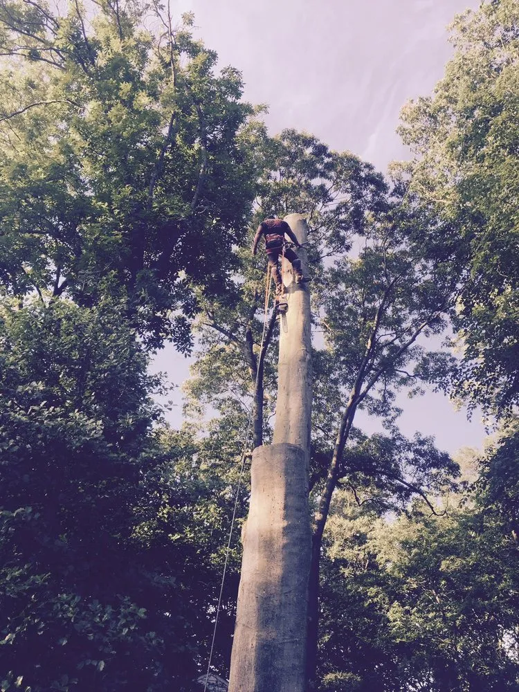 Professional garden landscaping in Morganville, NJ by G & J Star Tree Service