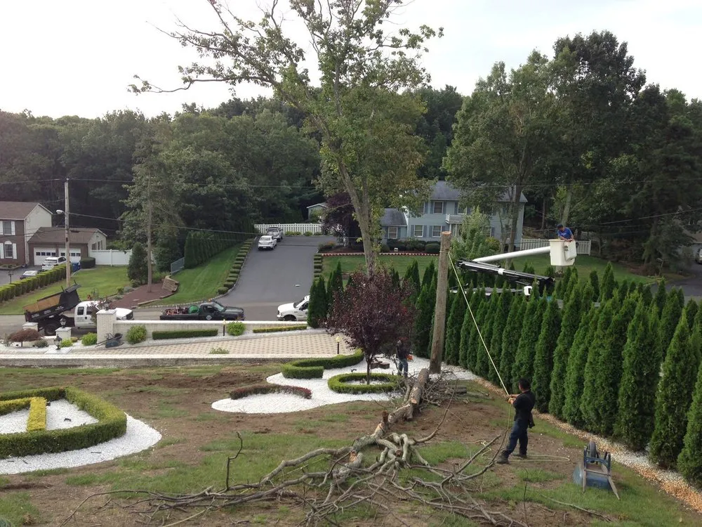 Trusted outdoor landscaping for outdoor upgrades in Morganville, NJ by G & J Star Tree Service
