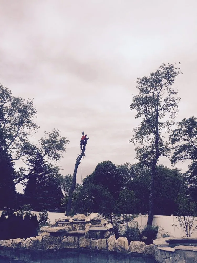 Expert outdoor landscaping for outdoor upgrades across Morganville, NJ - G & J Star Tree Service