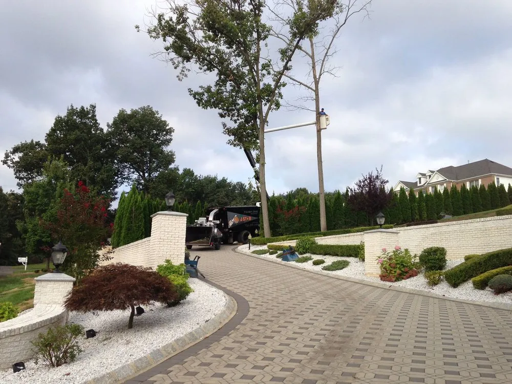 Professional yard maintenance in Morganville, NJ by G & J Star Tree Service
